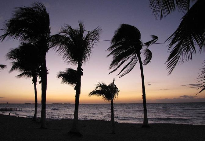 Ein Sonnenuntergang wie im Film - Palmensilhouette vor Cancun