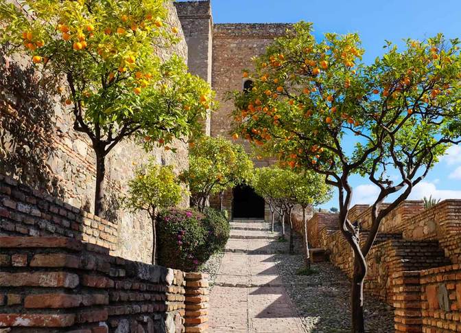Orangenbäumchen im Februar – an der Festung Alcazaba in Malaga