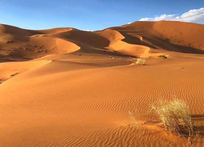 Ergreifendes Kunstwerk der Natur – die marokkanische Wüste