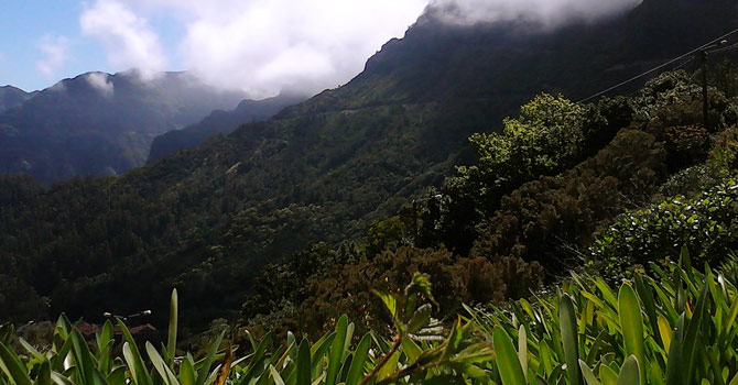 Madeira im Mai