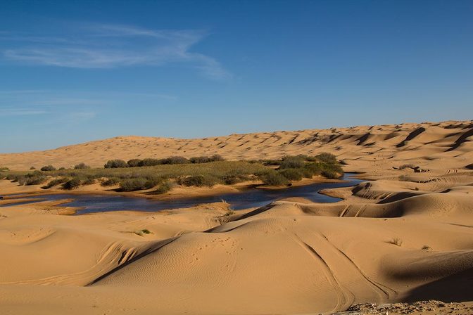 Diese Oase in der Sahara ist keine Fata Morgana, sondern liegt in Tunesien