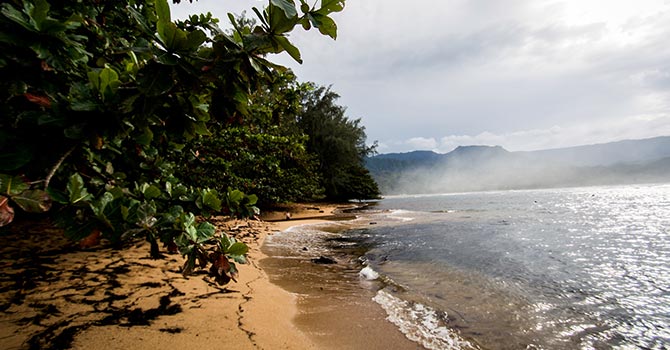 Wer sucht, der findet: Paradiesische verlassene Bucht auf Hawaii