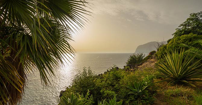Die grüne Insel Madeira kratzt im März schon an der 20°C-Marke