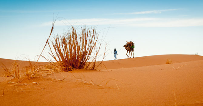 Eine Wüstenwanderung durch Marokko - im Sommer wäre es dafür zu heiß