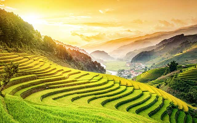 Vietnam