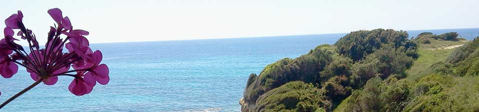 Satte Farben und viel Erholung - auf Korfu kommen Natur und Strand zusammen