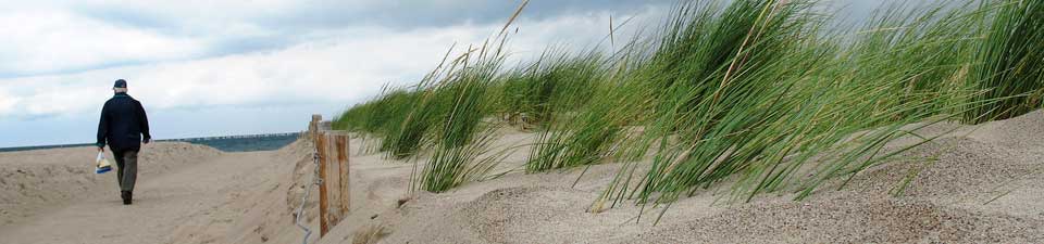 Fantastisches Farbenspiel auf den Dünen bei Warnemünde