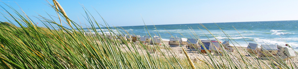 Auf Sylt werden sonnige Nordseeträume wahr.