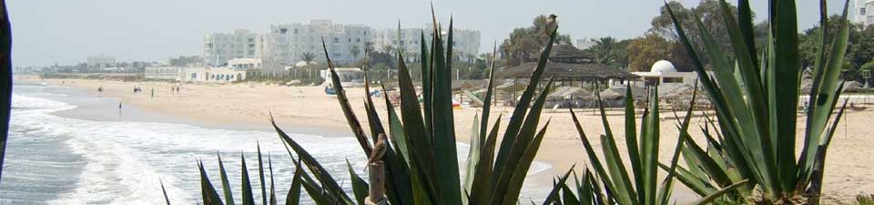 Hier ist es so gut wie immer warm - am langen Strand von Hammamet