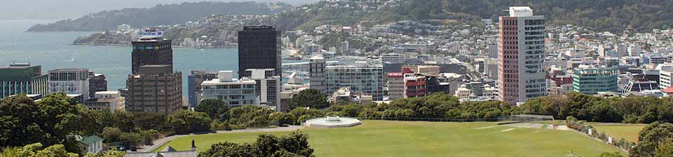 Wellington, von einer Anhöhe im Botanischen Garten aus gesehen